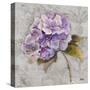 Lavender Flourish Square II-Patricia Pinto-Stretched Canvas