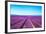 Lavender Flower Blooming Fields Endless Rows-stevanzz-Framed Photographic Print