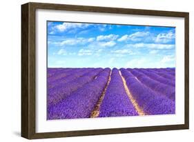 Lavender Flower Blooming Fields Endless Rows-stevanzz-Framed Photographic Print