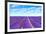 Lavender Flower Blooming Fields Endless Rows-stevanzz-Framed Photographic Print