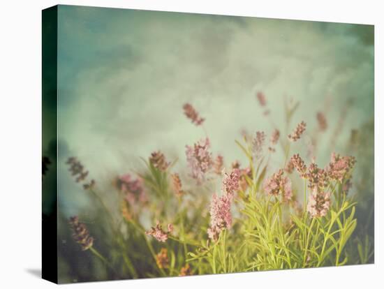 Lavender Flowers with Vintage Color Filters-Sandralise-Stretched Canvas