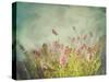 Lavender Flowers with Vintage Color Filters-Sandralise-Stretched Canvas