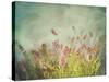 Lavender Flowers with Vintage Color Filters-Sandralise-Stretched Canvas