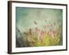 Lavender Flowers with Vintage Color Filters-Sandralise-Framed Photographic Print