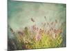 Lavender Flowers with Vintage Color Filters-Sandralise-Mounted Photographic Print