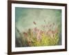 Lavender Flowers with Vintage Color Filters-Sandralise-Framed Photographic Print