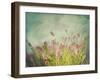 Lavender Flowers with Vintage Color Filters-Sandralise-Framed Photographic Print