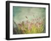 Lavender Flowers with Vintage Color Filters-Sandralise-Framed Photographic Print