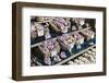 Lavender for Sale, Nice, France-Fraser Hall-Framed Photographic Print