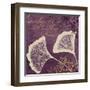 Lavender Ginkgo-Booker Morey-Framed Art Print