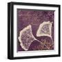 Lavender Ginkgo-Booker Morey-Framed Art Print