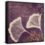 Lavender Ginkgo-Booker Morey-Framed Stretched Canvas