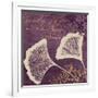 Lavender Ginkgo-Booker Morey-Framed Art Print