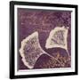 Lavender Ginkgo-Booker Morey-Framed Art Print