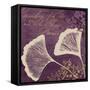 Lavender Ginkgo-Booker Morey-Framed Stretched Canvas