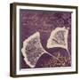 Lavender Ginkgo-Booker Morey-Framed Art Print