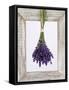 Lavender Hanging Up to Dry-Ottmar Diez-Framed Stretched Canvas