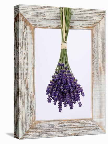 Lavender Hanging Up to Dry-Ottmar Diez-Stretched Canvas