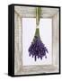 Lavender Hanging Up to Dry-Ottmar Diez-Framed Stretched Canvas