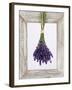 Lavender Hanging Up to Dry-Ottmar Diez-Framed Photographic Print