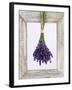 Lavender Hanging Up to Dry-Ottmar Diez-Framed Photographic Print