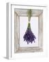 Lavender Hanging Up to Dry-Ottmar Diez-Framed Photographic Print