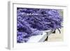 Lavender Harvest I-Dana Styber-Framed Photographic Print