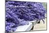 Lavender Harvest I-Dana Styber-Mounted Photographic Print