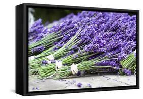 Lavender Harvest II-Dana Styber-Framed Stretched Canvas