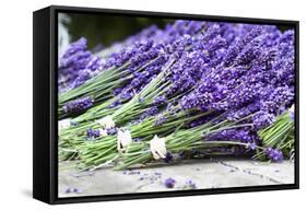 Lavender Harvest II-Dana Styber-Framed Stretched Canvas