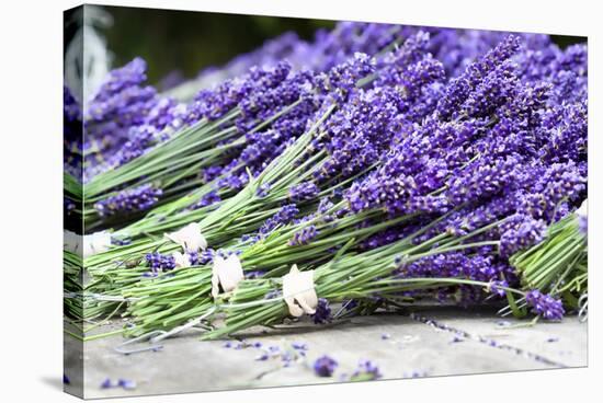 Lavender Harvest II-Dana Styber-Stretched Canvas