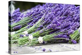 Lavender Harvest II-Dana Styber-Stretched Canvas