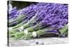 Lavender Harvest II-Dana Styber-Stretched Canvas