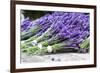 Lavender Harvest II-Dana Styber-Framed Photographic Print