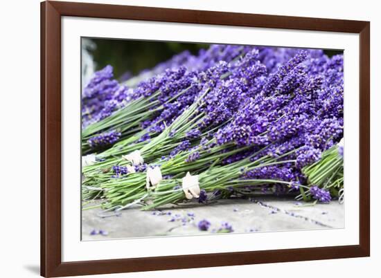 Lavender Harvest II-Dana Styber-Framed Photographic Print