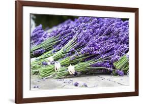 Lavender Harvest II-Dana Styber-Framed Photographic Print