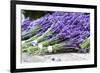 Lavender Harvest II-Dana Styber-Framed Photographic Print