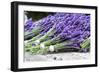 Lavender Harvest II-Dana Styber-Framed Photographic Print