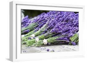 Lavender Harvest II-Dana Styber-Framed Photographic Print