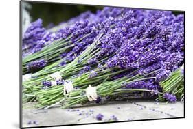 Lavender Harvest II-Dana Styber-Mounted Photographic Print