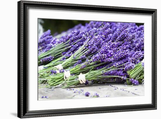 Lavender Harvest II-Dana Styber-Framed Photographic Print