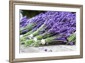 Lavender Harvest II-Dana Styber-Framed Photographic Print