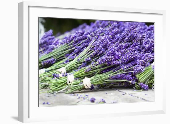 Lavender Harvest II-Dana Styber-Framed Photographic Print