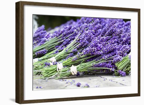 Lavender Harvest II-Dana Styber-Framed Photographic Print