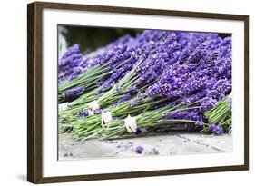 Lavender Harvest II-Dana Styber-Framed Photographic Print