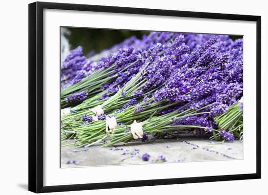 Lavender Harvest II-Dana Styber-Framed Photographic Print