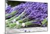 Lavender Harvest II-Dana Styber-Mounted Photographic Print