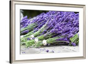 Lavender Harvest II-Dana Styber-Framed Photographic Print