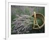 Lavender Harvest, Vashon Island, Washington State, United States of America, North America-Colin Brynn-Framed Photographic Print