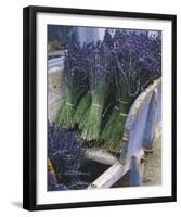 Lavender Harvest-Gunter Rossenbach-Framed Art Print